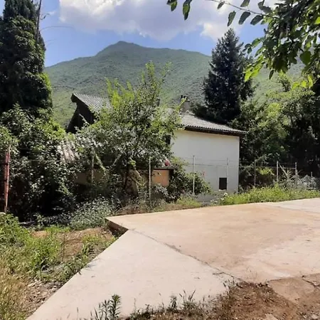 Ramonda Dolna Matka